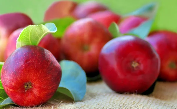 Red apples on green background — Stock Photo, Image