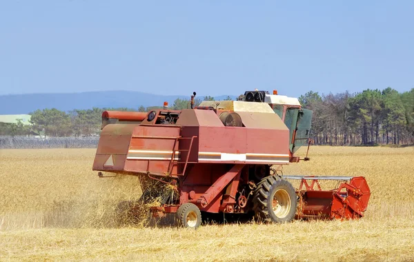 Combiner la moissonneuse sur un champ de blé — Photo