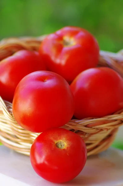 Спелые помидоры на корзине — стоковое фото