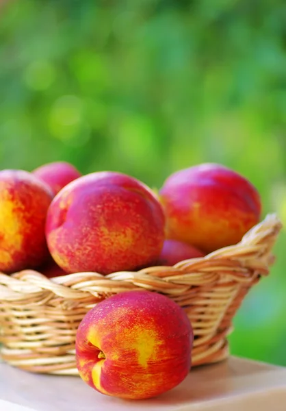 Корзина, полная спелых персиков — стоковое фото