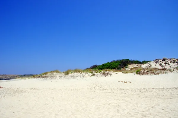 Sand and dunes of beach — Stock Photo, Image