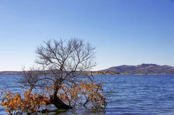 Alqueva sjön nära monsaraz village — Stockfoto