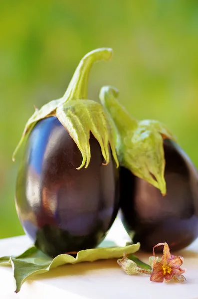 Två svarta äggplantor på grön bakgrund — Stockfoto