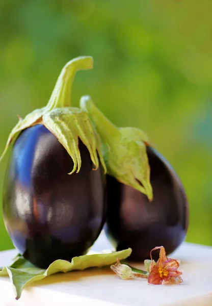 Twee zwarte aubergines op tabel, groene achtergrond — Stockfoto