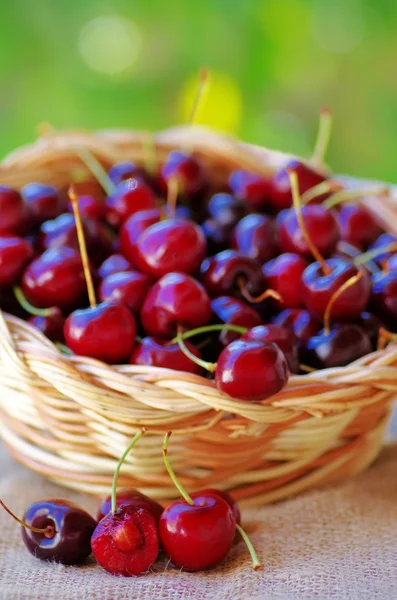 Ripe cherries in wooden basket on green background — Stock Photo, Image