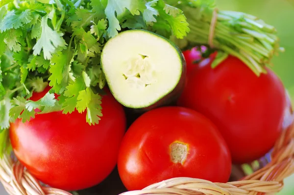 Hierbas de tomate, pepino y cilantro en cesta — Foto de Stock