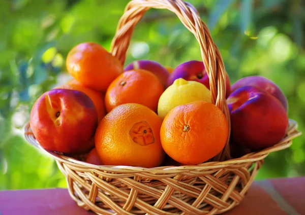 Citrusfrukter och persikor — Stockfoto