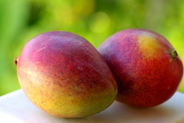 iki mango meyve yeşil renkli izole.
