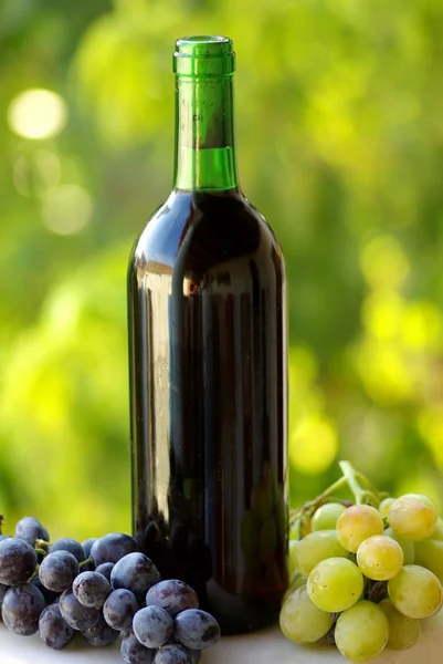 Flasche Rotwein neben den schwarzen und weißen Trauben. — Stockfoto