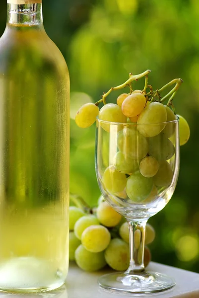 Flasche Weißwein mit vollem Glas Trauben. — Stockfoto