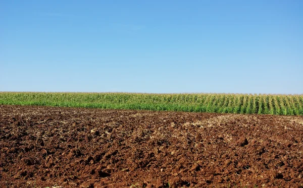 Landbouwgebied achtergrond. — Stockfoto