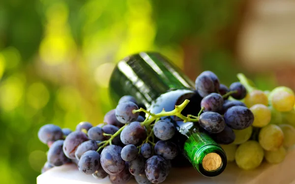 Bottle of red wine next to the black and white grapes. Royalty Free Stock Images