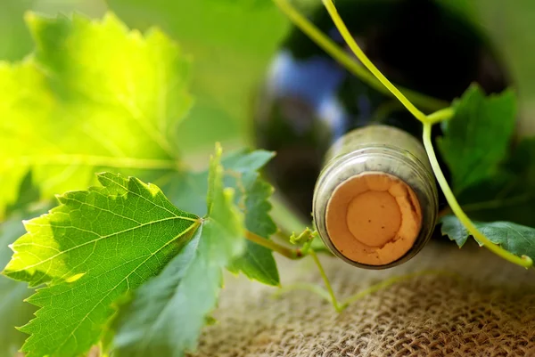 Bouteille de vin rouge et feuilles. — Photo