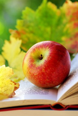 Elma ve yapraklar kitaba uygun.