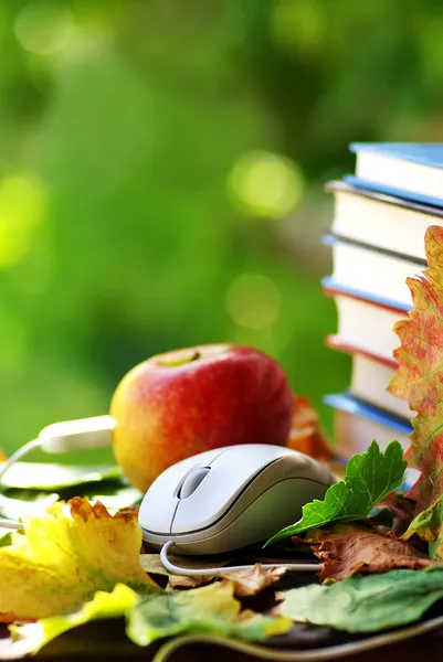 Fare, kitaplar ve Kırmızı elma. — Stok fotoğraf