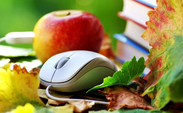 Mouse e mela rossa sulle foglie . — Foto Stock