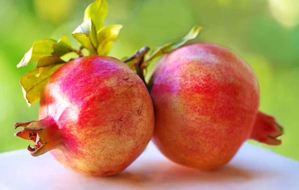 Zwei reife Granatäpfel mit Blättern — Stockfoto