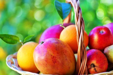 Olgunlaşmış meyve sepeti üzerine