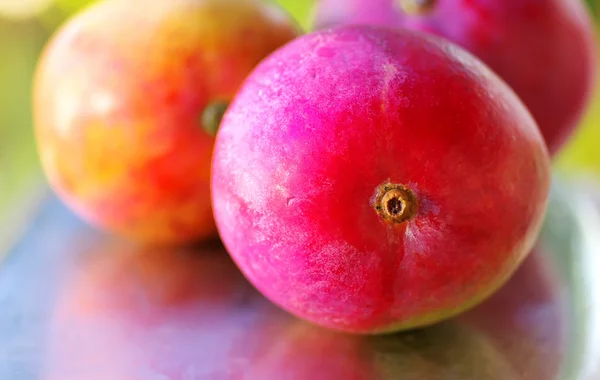 Ripe mangoes fruits — Stock Photo, Image