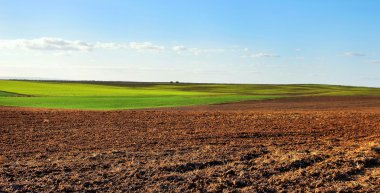 gün batımında bulutlu gökyüzü altında sürülmüş alan