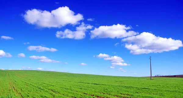 Campo verde e nuvole — Foto Stock