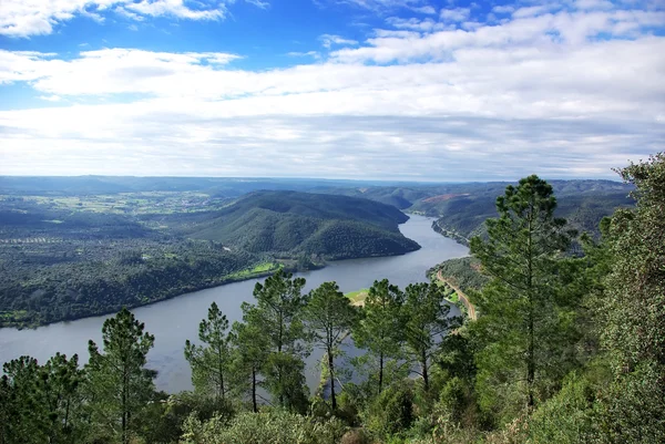 Floden Tejo, vatten och träd. Portas de rodao, portugal. — Stockfoto