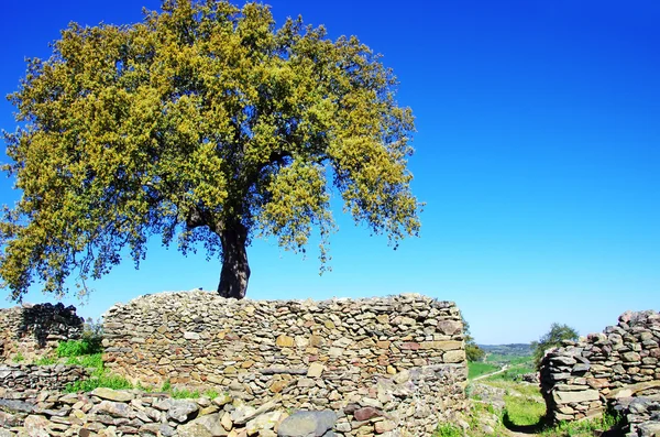 Ruínas arqueológicas de Castro da Cola, Ourique, Portugal . — Fotografia de Stock