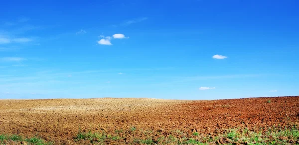 Orné půdy a modrá obloha — Stock fotografie