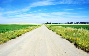 Toprak yolda buğday alanı ile kırsal manzara