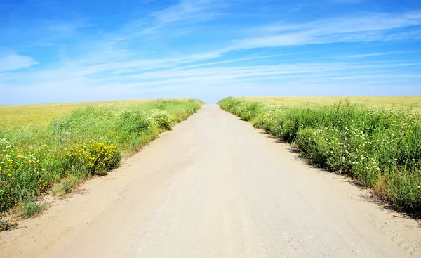 Сельский пейзаж с грунтовой дорогой на пшеничном поле — стоковое фото