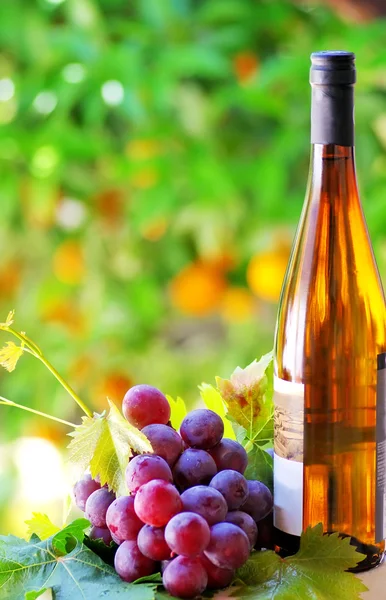 Uvas y botella de vino — Foto de Stock