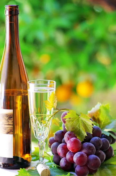 Glass and bottle of alvarinho wine — Stock Photo, Image