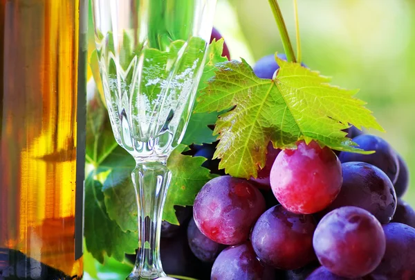 Bottle and glass of wine with grapes Stock Photo