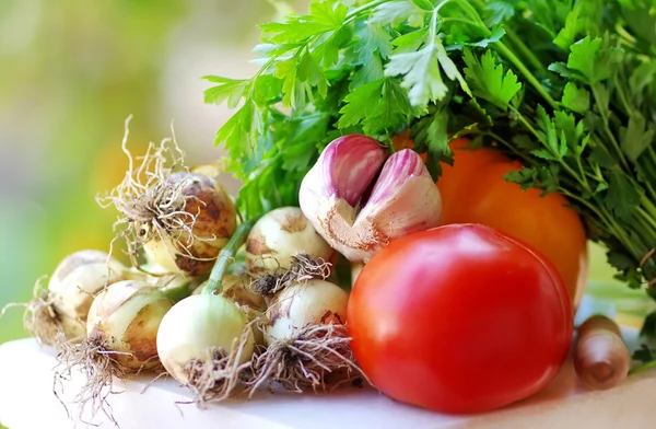 Tomate, alho e legumes frescos — Fotografia de Stock