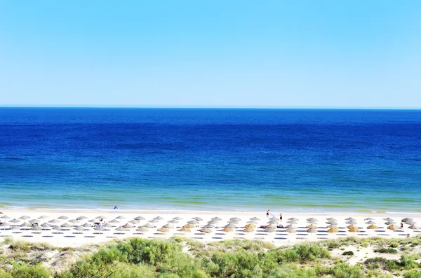 Green beach in Algarve, Portugal — Stock Photo, Image