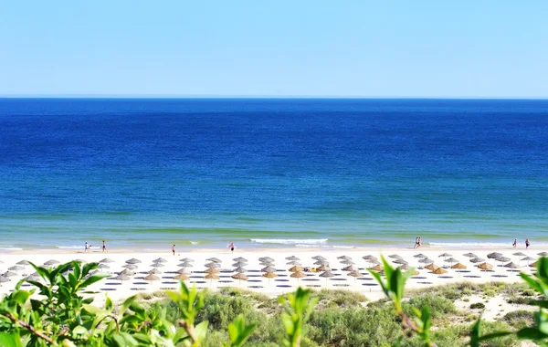 Zielony plaży w algarve, Portugalia — Zdjęcie stockowe