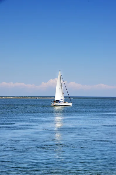 Білий вітрильник у синьому морі — стокове фото
