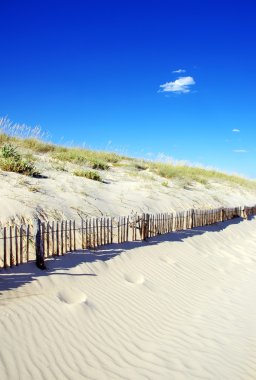 dunes dış algarve plaj kıyısında eskrim