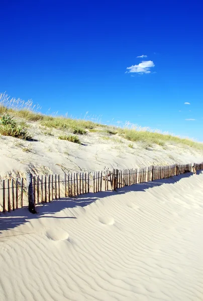 Dunes fencing along outer banks of Algarve beach — Stock Photo, Image