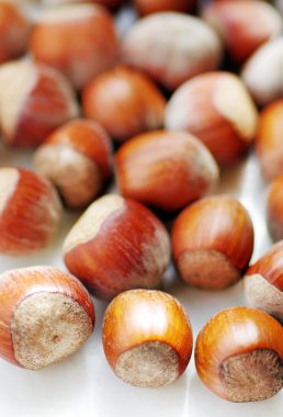 yakın çekim olarak kuru fındık 