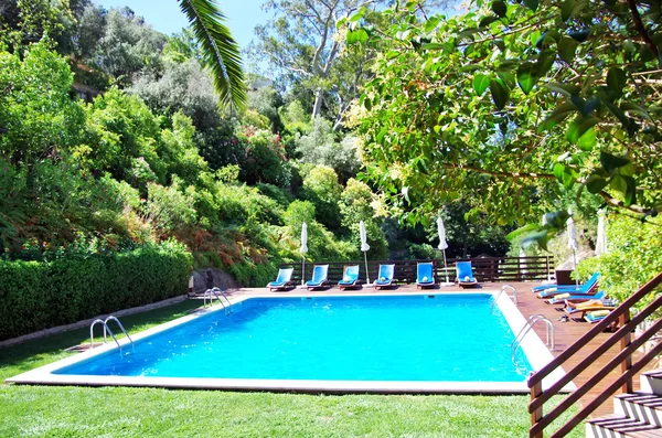 Pool mit blauem Wasser in der Nähe des Gartens — Stockfoto