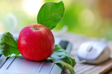 bir tablo ile apple laptop 
