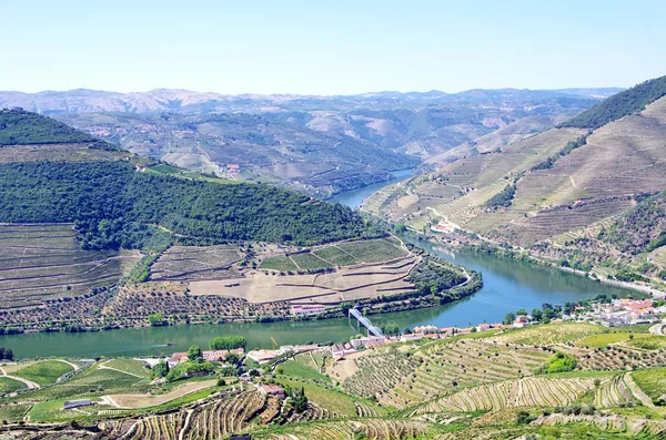 Landschap van wijngaarden van de douro, pinhao, portugal — Stockfoto