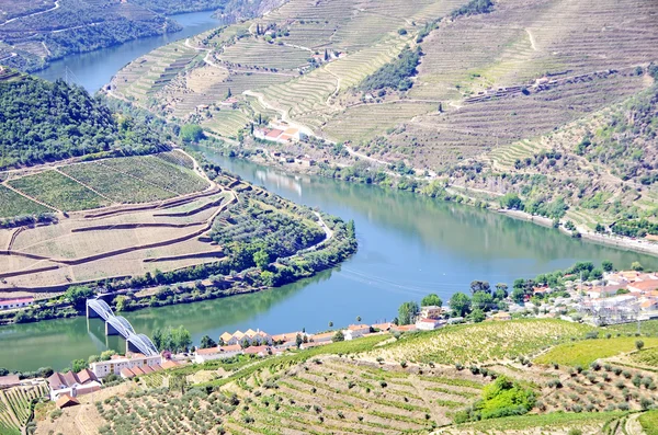 Douro wijngaarden, Pinhao, Portugal — Stockfoto