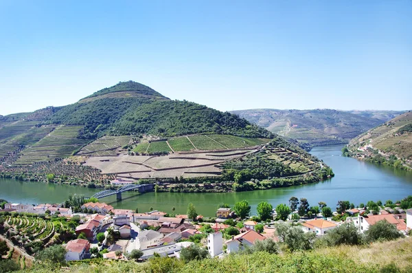 Krajobraz douro winnic, Pinhão, Portugalia — Zdjęcie stockowe