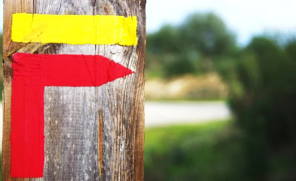Red Yellow Sign Trail Wooden Trunk — Stock Photo, Image