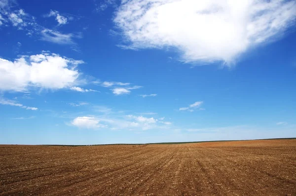 Krajobraz Pola Rolniczego Obwód Alentejo Południe Portugalii — Zdjęcie stockowe