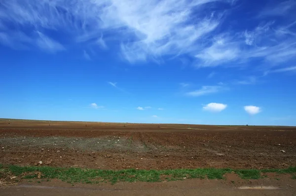Neuanpflanzung Eines Maisfeldes Der Region Alentejo Portugal — Stockfoto