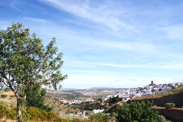 Paisagem Arcos Frontera Região Andaluzia Espanha — Fotografia de Stock