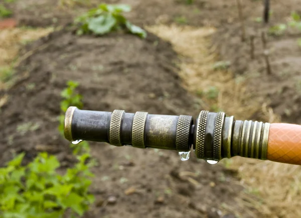 Messing Gartenschlauch Düse — Stockfoto